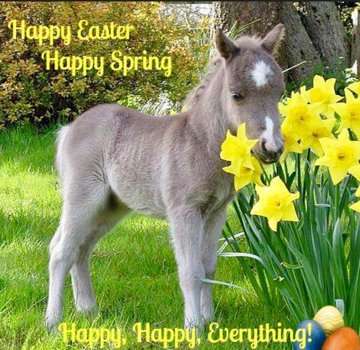 Easter Horse